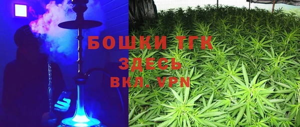 Альфа ПВП Аркадак