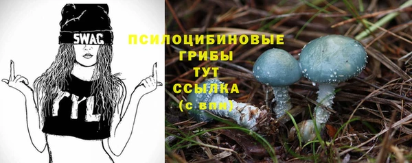 PSILOCYBIN Арсеньев