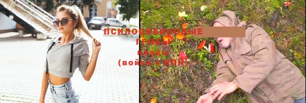 Альфа ПВП Аркадак