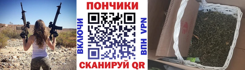 Канабис гибрид  Починок 